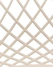 Set of 2 Dining Chairs CANTON II Beige_861861