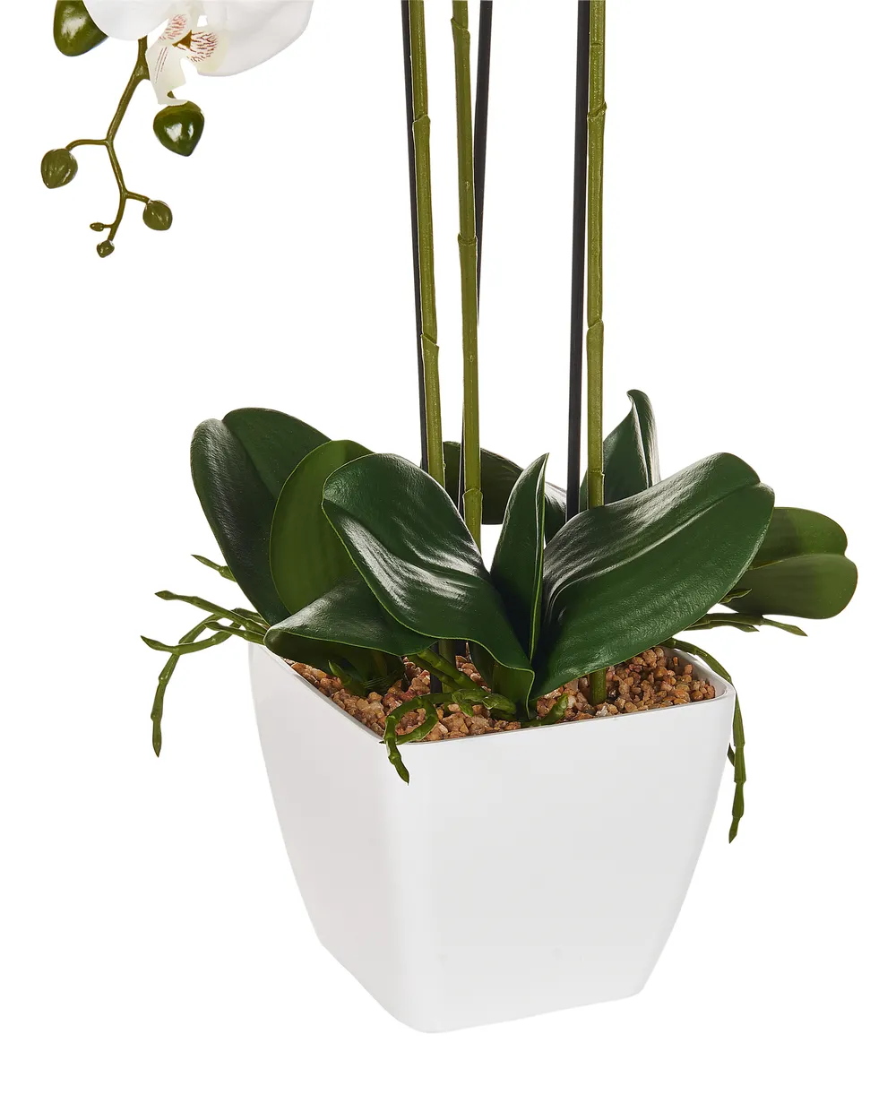 Tekokasvi ORCHID 59 cm Valkoinen_947270