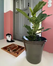 Plant Pot OLIVA 47 cm Green_1167967
