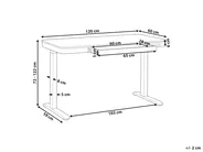 Elektriskt höj- och sänkbart skrivbord KENLY 120 cm 60 cm med USB-port Svart_840262