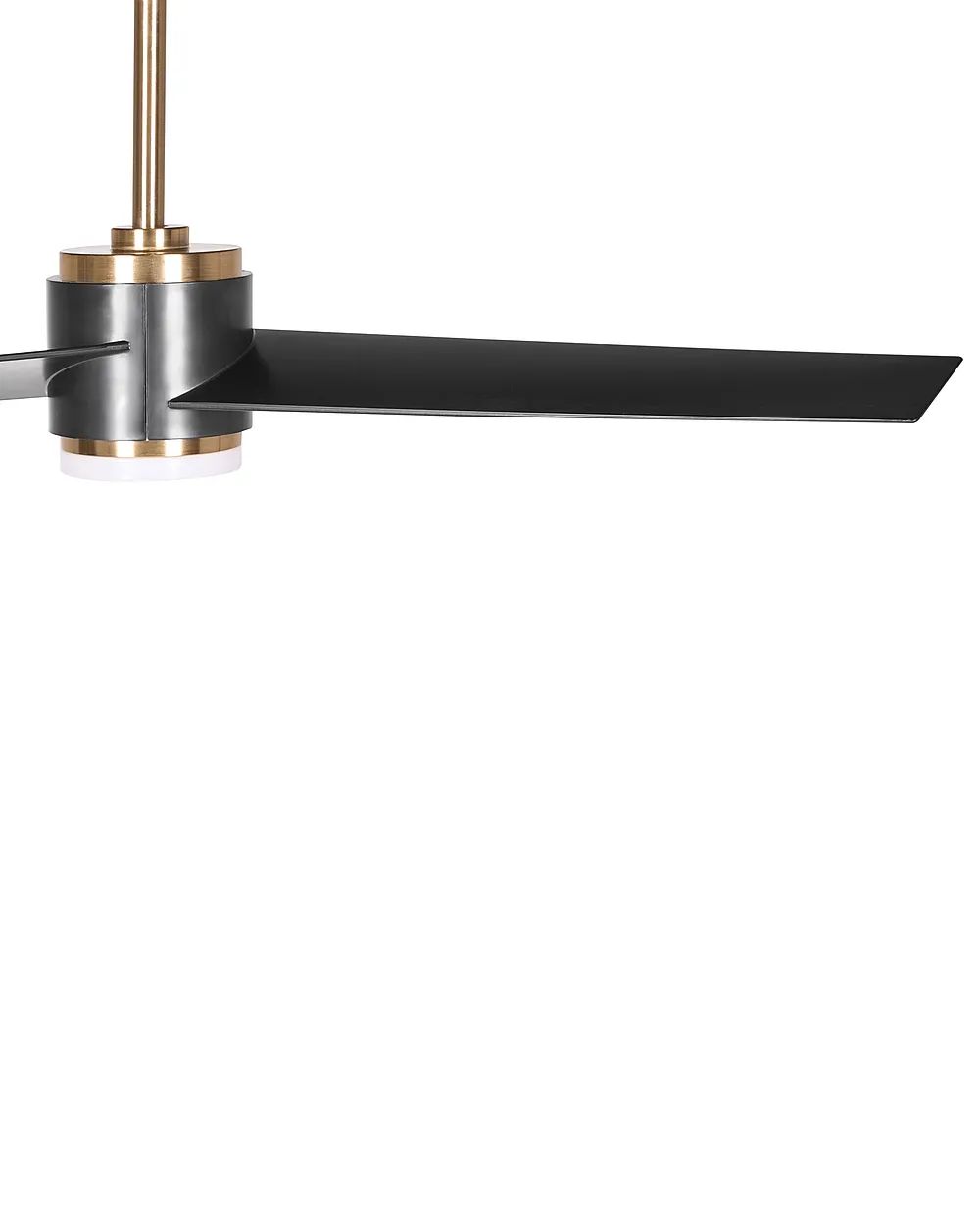 Ceiling Fan with Light TROUT with Remote LED Black_1133570