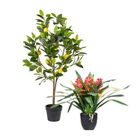 Artificial Plants and Flowers