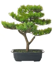 Artificial Plant PINE 37 cm Green_1028615