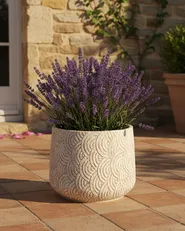 Kukkaruukku ERIROS 31 cm Vaaleanbeige_1032414