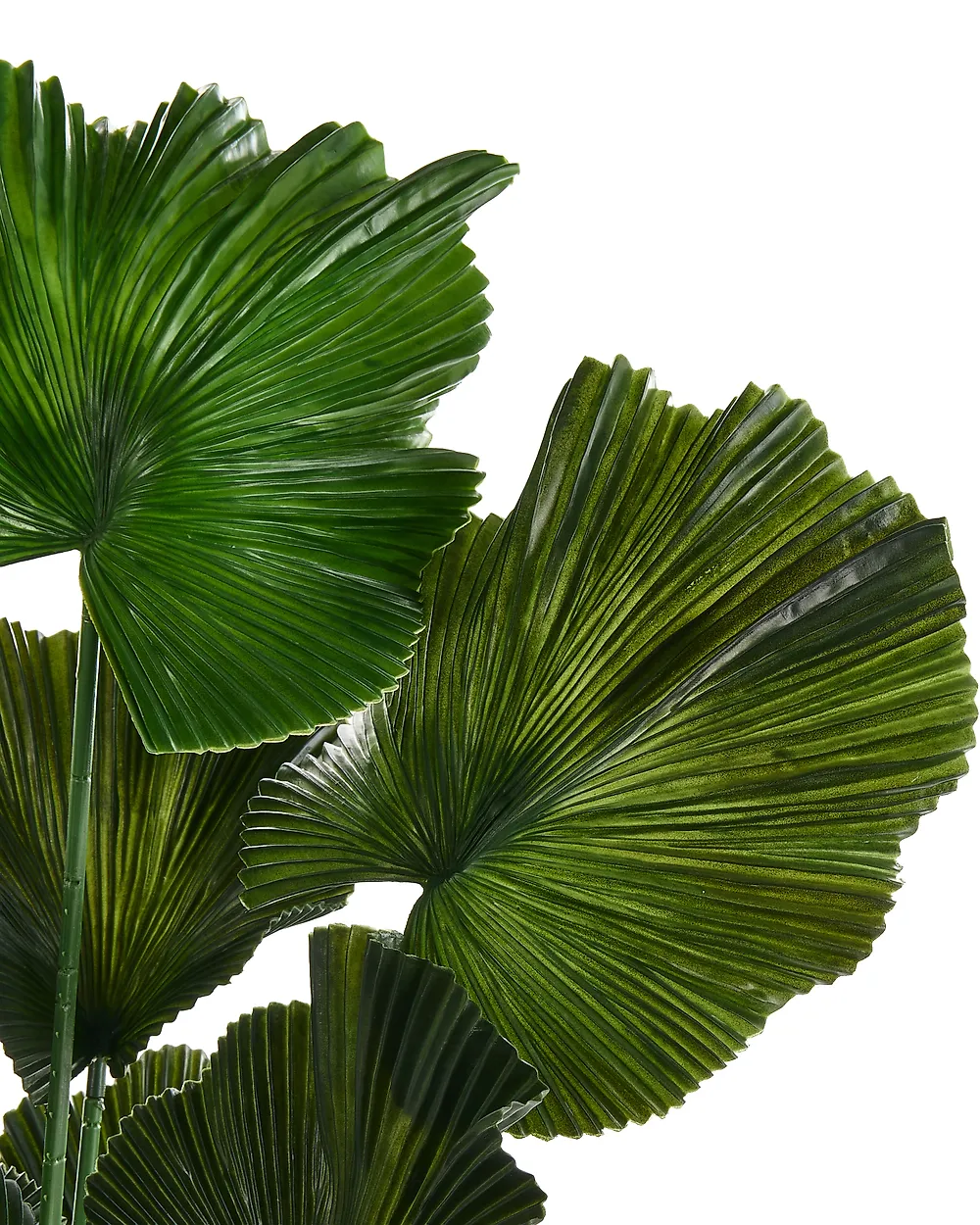 Tekokasvi RUFFLED FAN PALM 98 cm Vihreä_1185283