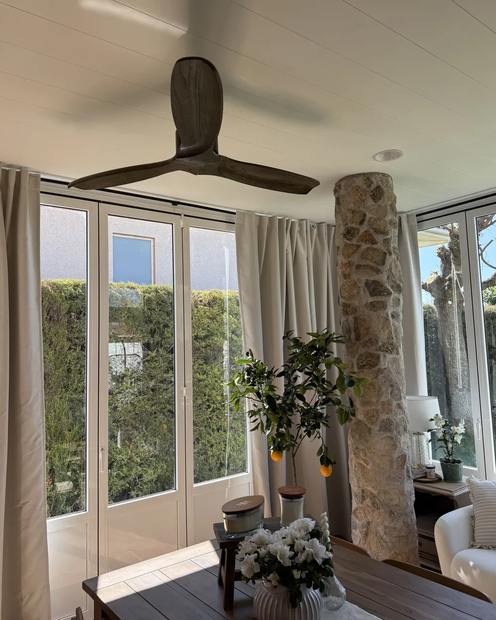 Ceiling Fan ARANI with Remote Dark Brown_1069359