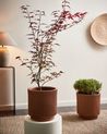 Plant Pot DARIA 30 cm Brown