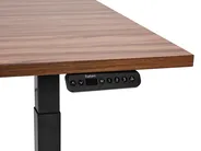 Electric Adjustable Standing Desk DESTINES 160 cm 72 cm Brown/ Black_899503