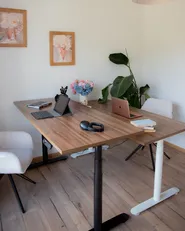 Electric Adjustable Standing Desk DESTINAS 160 cm 72 cm Brown/ Black_1022649