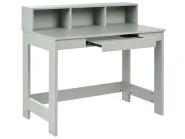 Skrivbord ALVAR 111 cm 60 cm Ljusgrön_1068903