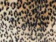 Set med 2 prydnadskuddar FOXTAIL 45 x 45 cm Fuskpäls Brun Djurtryck_822142