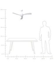 Ceiling Fan with Light PRASLIN with Remote LED White_1032197