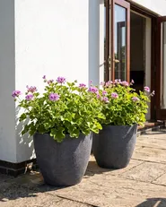 Set of 2 Plant Pots FRITILLARIA 50 cm Grey_1095505