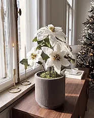 Artificial Plant CHRISTMAS FLOWER 61 cm White_1174958