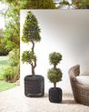 Set of 2 Plant Pots BRODIEA 26/45 cm PE Rattan Black