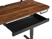 Electric Adjustable Standing Desk WILBANKS 120 cm 60 cm with USB Port Brown/ Black_1031160