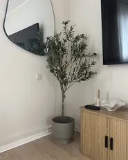 Artificial Plant OLIVE TREE 153 cm Green_924521
