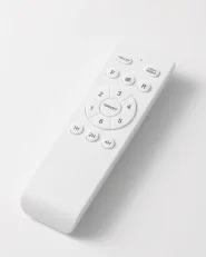Ceiling Fan with Light TROUT with Remote LED Black_1186211