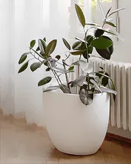 Plant Pot KANNIA 55 cm White_887669