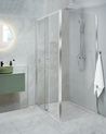 Shower Enclosure YORO 800 x 1000 x 1850 mm Silver