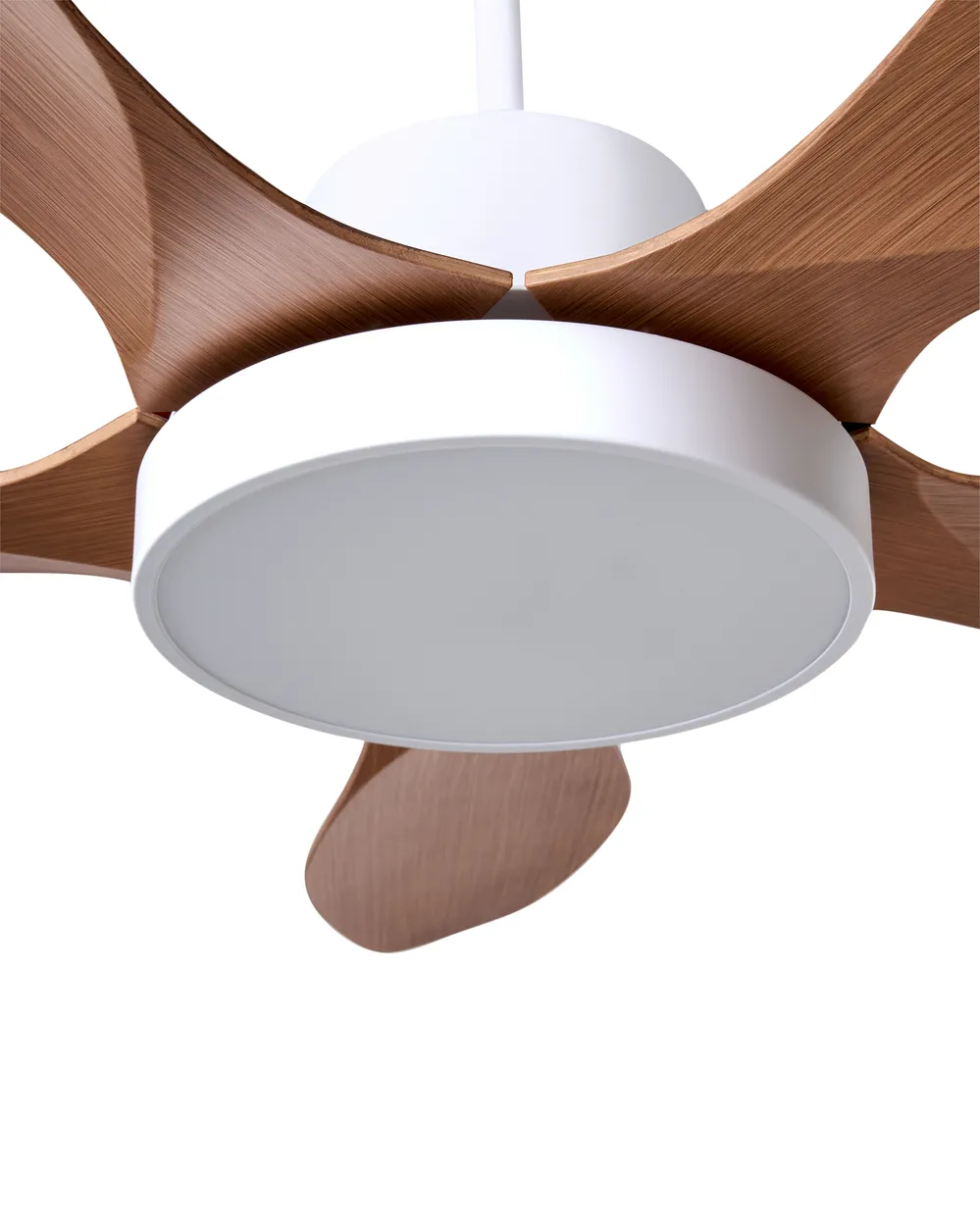 Ceiling Fan with Light BARBET with Remote LED Light Brown_1032024