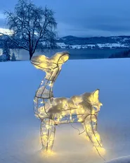 Ulkokoriste LED-valo HAFNIR 92 cm Metsäkauris Hopea_946502