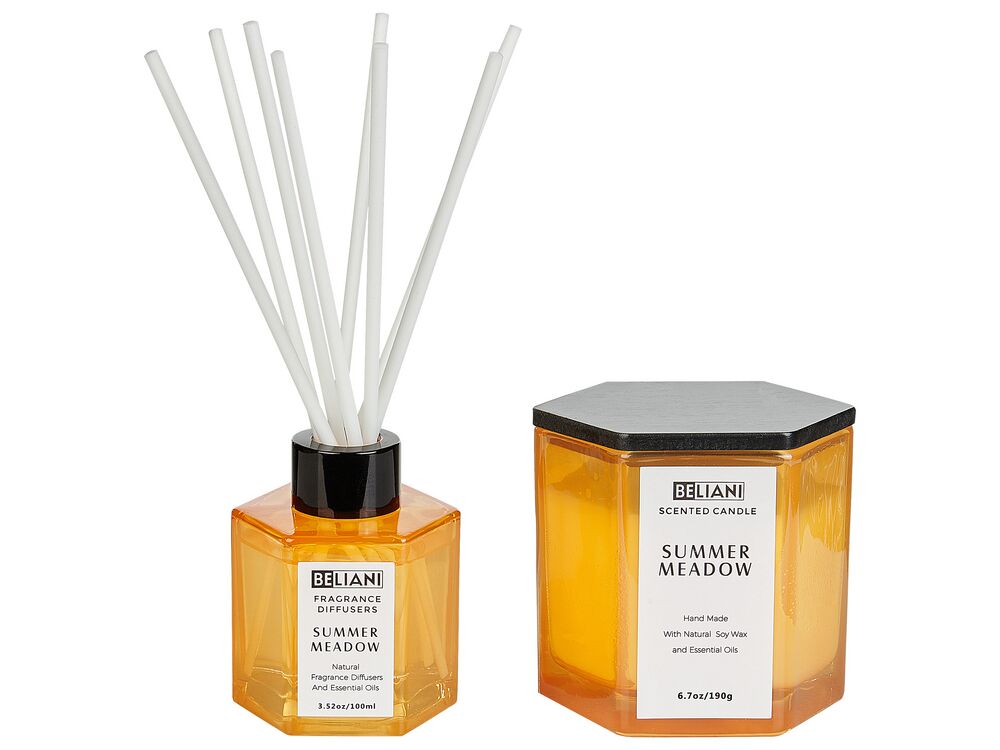 Doftljus med doftspridare CLASSY TINT Sojavax Friska doftnoter