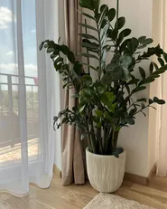 Plant Pot CHIOS 31 cm Beige_933348