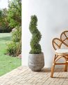 Artificial Plant BUXUS SPIRAL TREE 98 cm Green