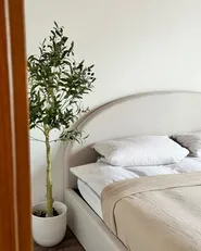 Artificial Plant OLIVE TREE 153 cm Green_937544
