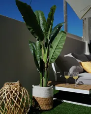 Konstgjord växt MUSA TREE 154 cm Grön_832331