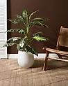 Kukkaruukku LIVADIA 27 cm Luonnonvalkoinen