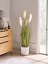 Tekokasvi CORTADERIA GRASS 120 cm Vihreä