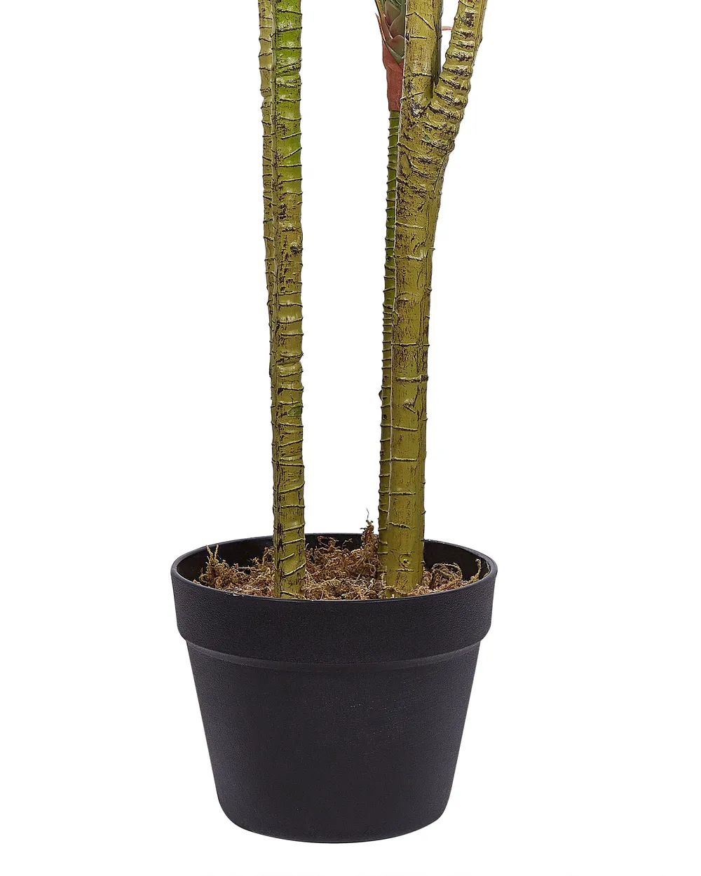 Artificial Plant DRACAENA ANITA 147 cm Green_795907