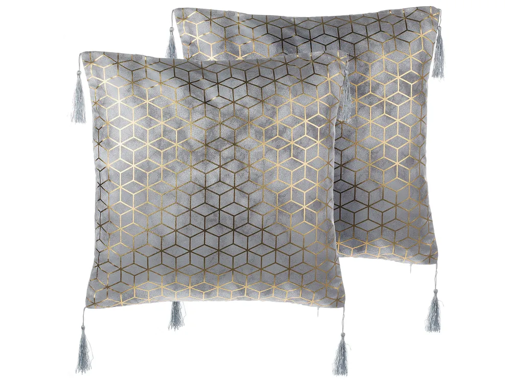 Set of 2 Decorative Cushions YARINA 45 x 45 cm Grey Geometric Pattern