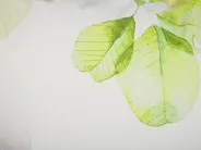 Set of 2 Decorative Cushions PEPEROMIA 45 x 45 cm Cotton White Plant Pattern_799566