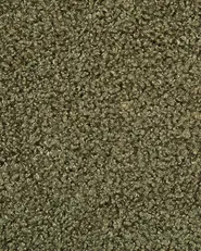 Set of 2 Bar Chairs EMERY Boucle Dark Green_915925