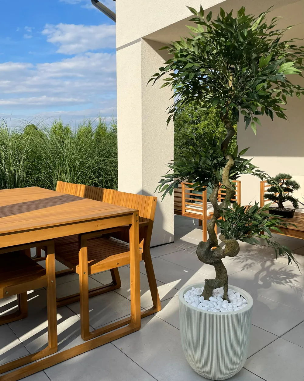 Artificial Plant RUSCUS TREE 166 cm Green_978821