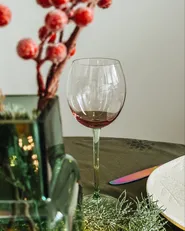 Viinilasisetti 4 kpl DIOPSIDE 360 ml Vaaleanpunainen_1050448