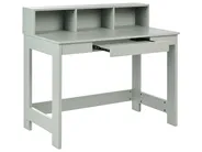 Skrivbord ALVAR 111 cm 60 cm Ljusgrön_1068904