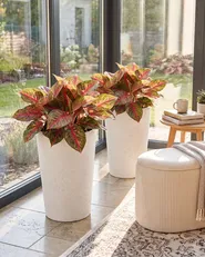 Set of 2 Plant Pots MEUM 35 cm White_1133021