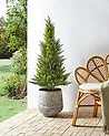 Tekokasvi CEDAR TREE 120 cm Vihreä