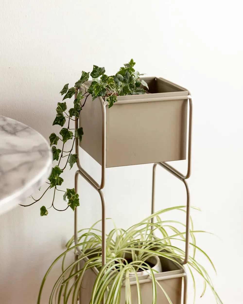 Plant Stand COTINUS 20 cm Metal Beige_958250