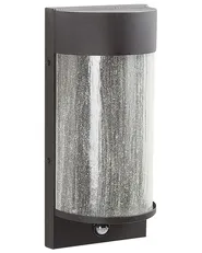 Outdoor LED Wall Light PHEPPIE with Motion Sensor Black_870700