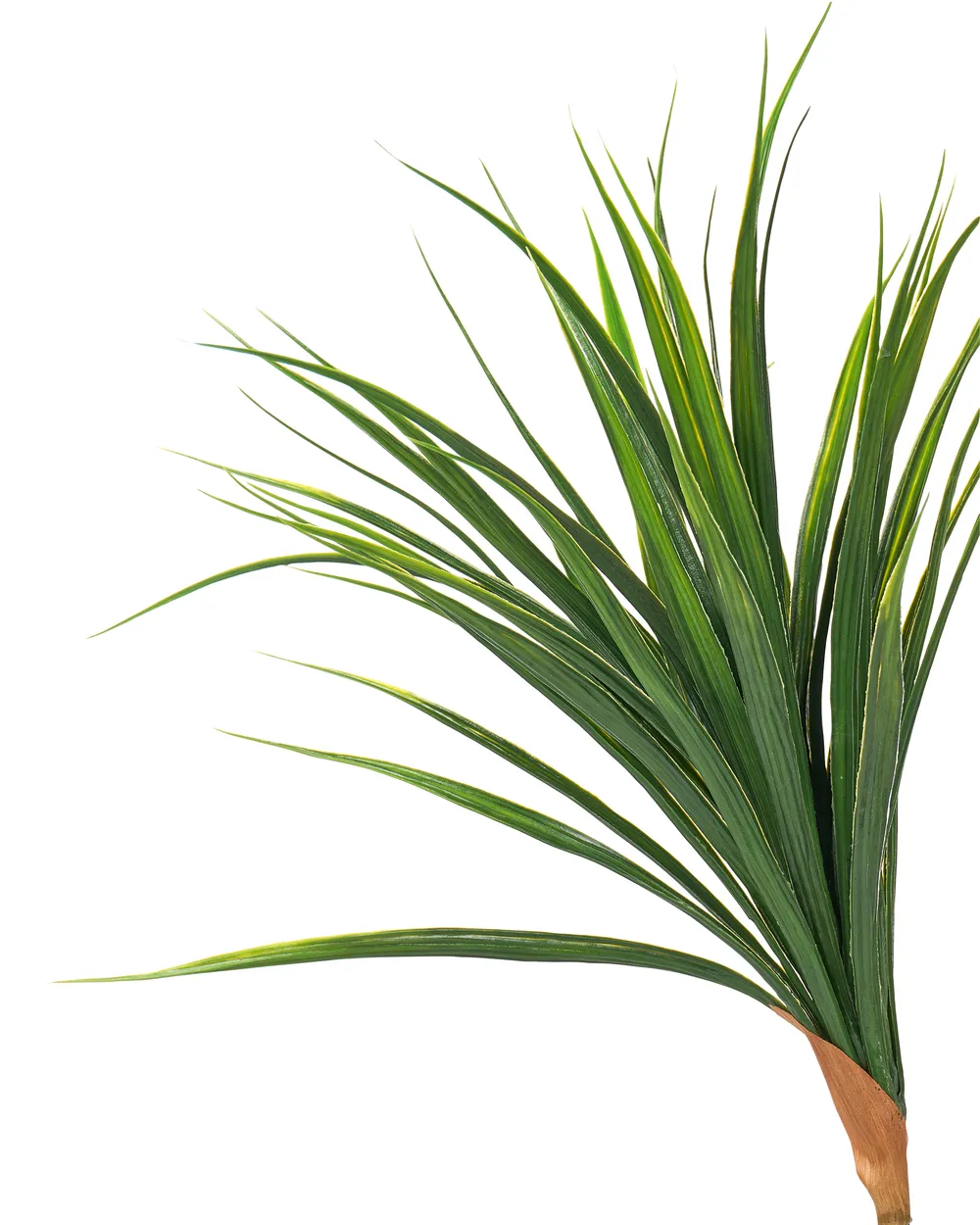 Artificial Plant DRACAENA DRACO 165 cm Green_1069914