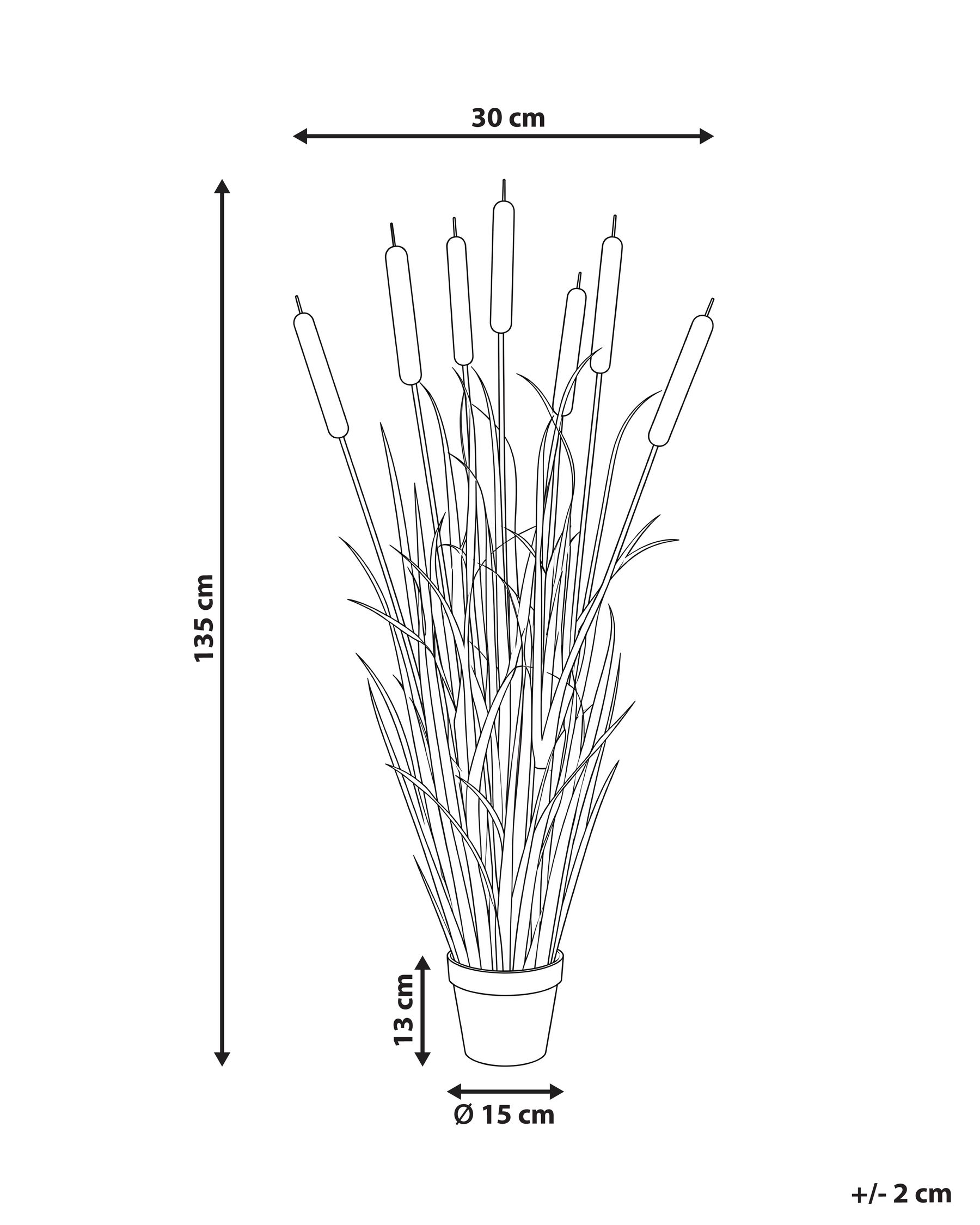 Artificial Plant BULRUSH 135 cm Green_1103921