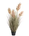 Tekokasvi MISCANTHUS GRASS 120 cm Ruskea