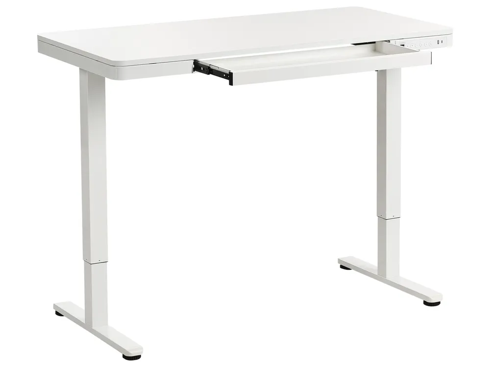 Electric Adjustable Standing Desk PENLY 120 cm 60 cm with USB Port White_1031216