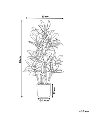 Konstgjord växt MAGNOLIA 70 cm Grön_795903