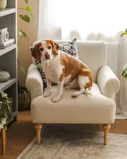 Armchair FREDROS Fabric Light Beige_980383